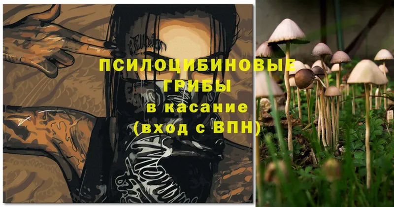 Псилоцибиновые грибы MAGIC MUSHROOMS  это состав  Новочебоксарск  купить  цена 