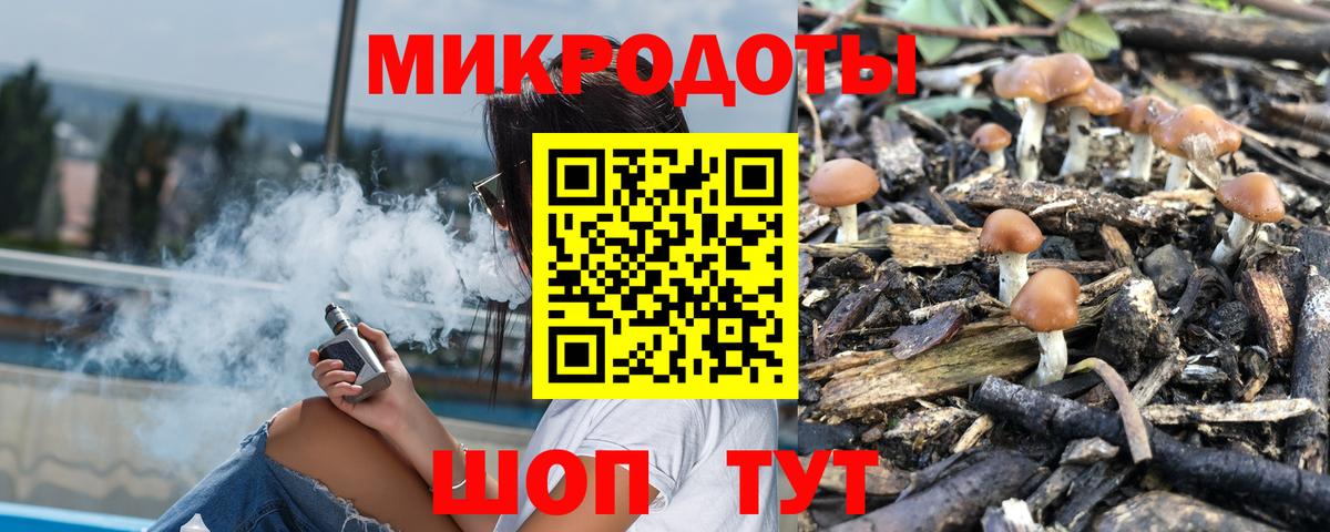 Новочебоксарск  Псилоцибиновые грибы MAGIC MUSHROOMS  Вход с VPN 