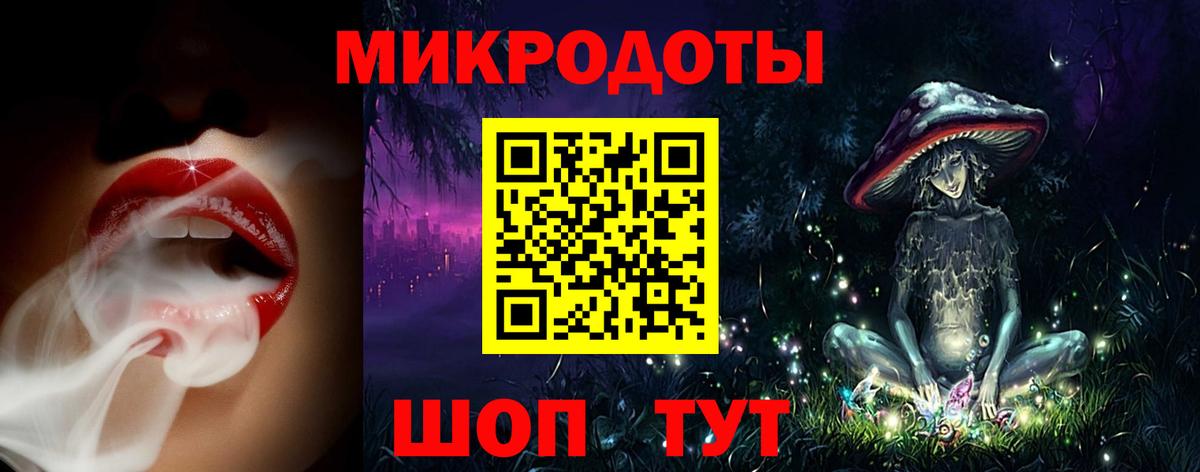 Псилоцибиновые грибы Psilocybine cubensis  Новочебоксарск 