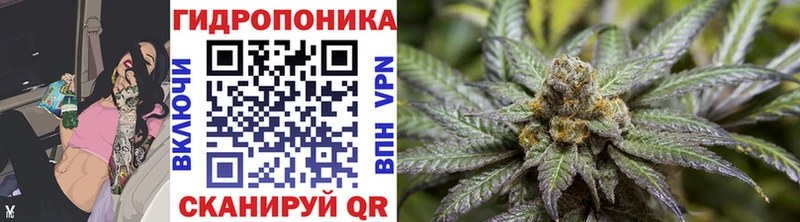 МЕГА ТОР  сколько стоит  Новочебоксарск  Бошки Шишки сатива 